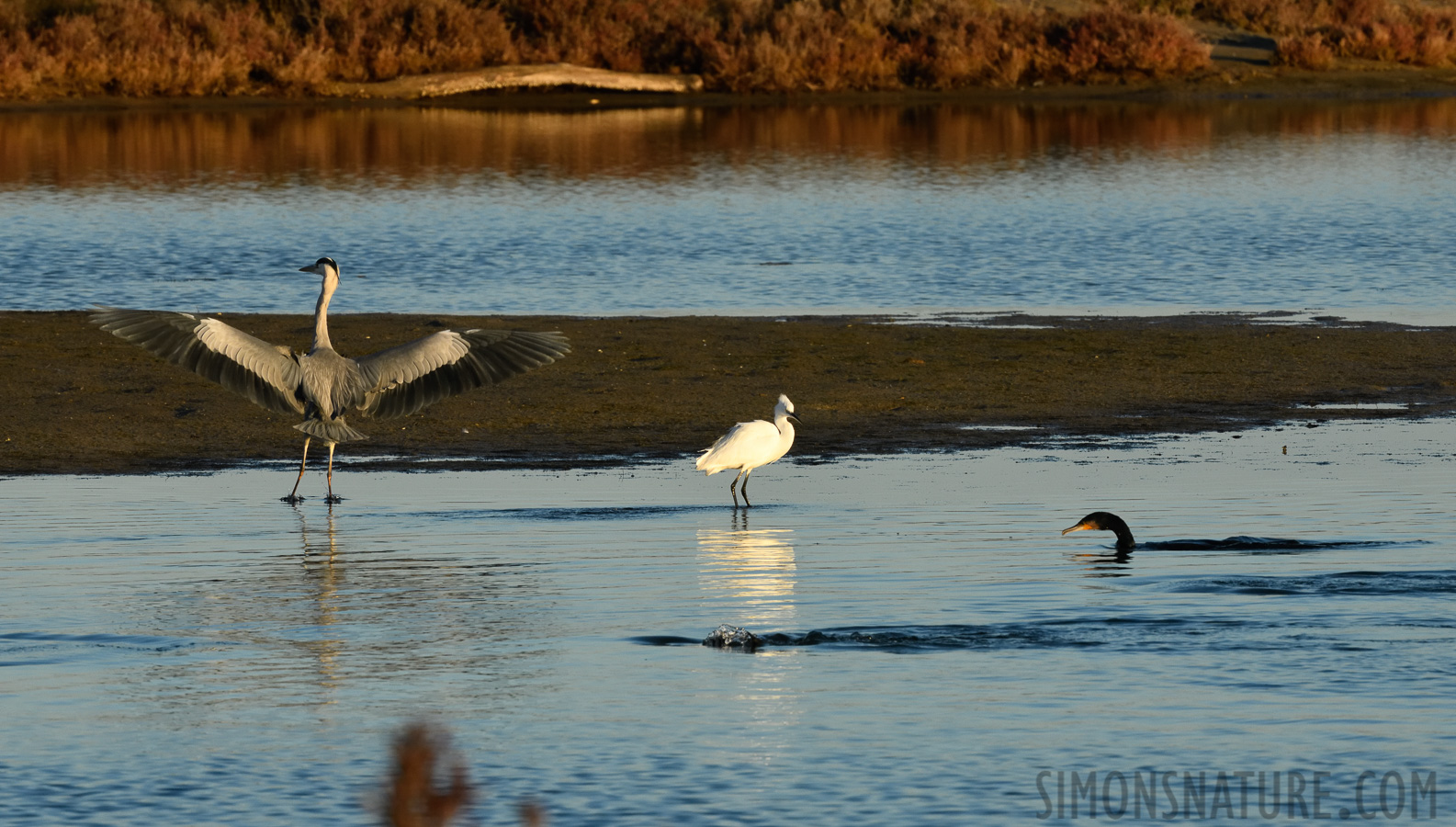 [400 mm, 1/640 sec at f / 18, ISO 1600]